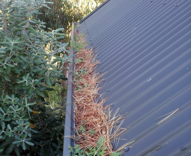 Gutter Guard Leaf and Rodent and Bird roof protection Hamilton and throughout the Waikato