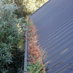 Gutter Guard Leaf and Rodent and Bird roof protection Hamilton and throughout the Waikato