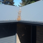 Gutter Guard Leaf and Rodent and Bird roof protection Hamilton and throughout Waikato